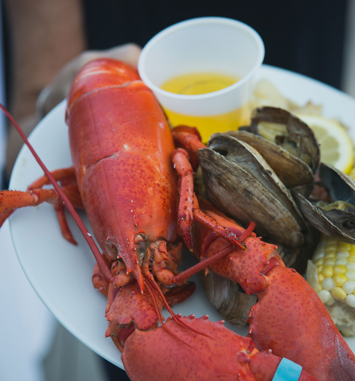 Boston Harbor Clambakes Thompson Island MA